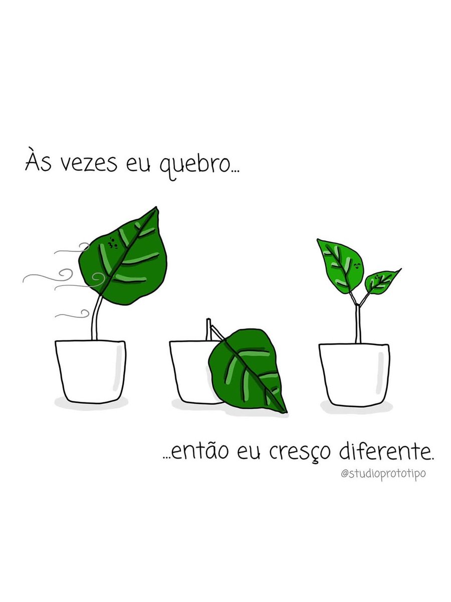 Frases (@privacidades) on Twitter photo 