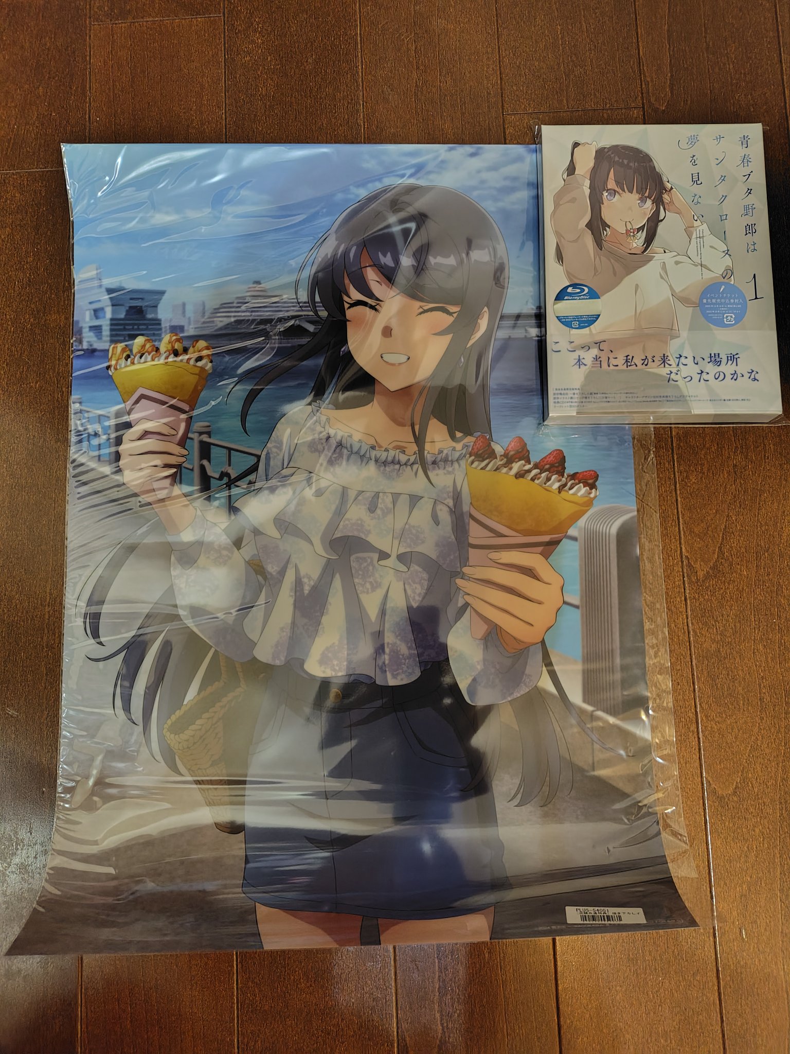 青春ブタ野郎 ポスター 非売品 青春ブタ野郎 A3 ハーフポスター 非売品 12種セット - メルカリ