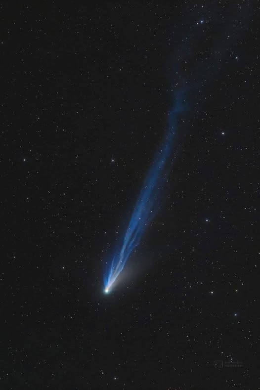 Comet ☄️ PONS-BROOKS 

📸image COURTESY OF Petr Horálek Photography