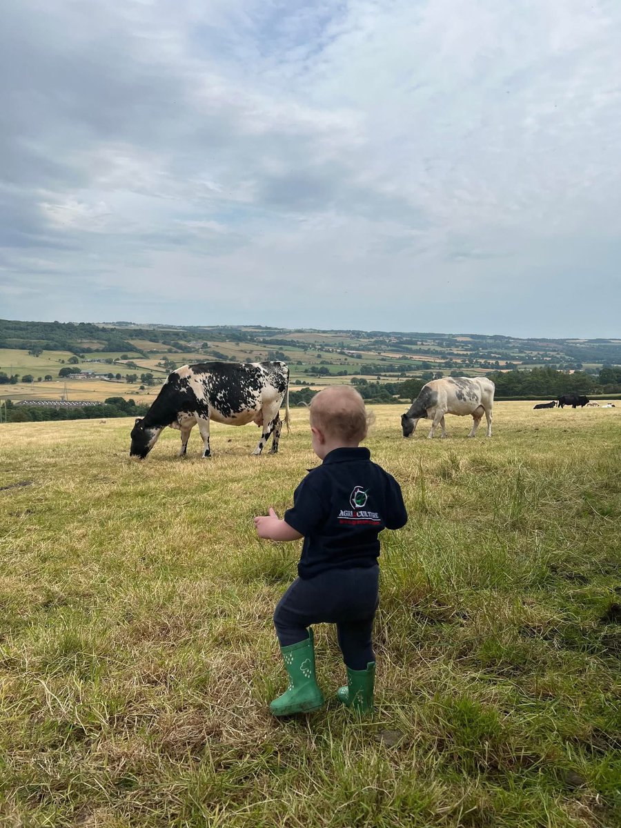 Back Britain’s many small family-run farms, like this one 🐮 🇬🇧 

📷 Saskia Harkness