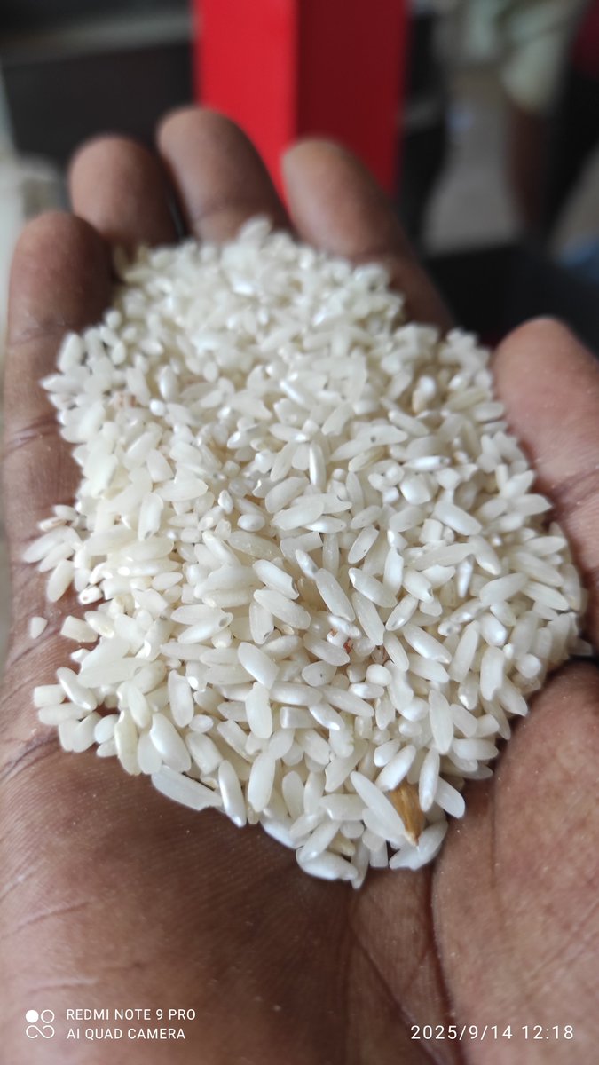 Parboiled rice or white (tuwo) rice. Talk to me and I will supply.