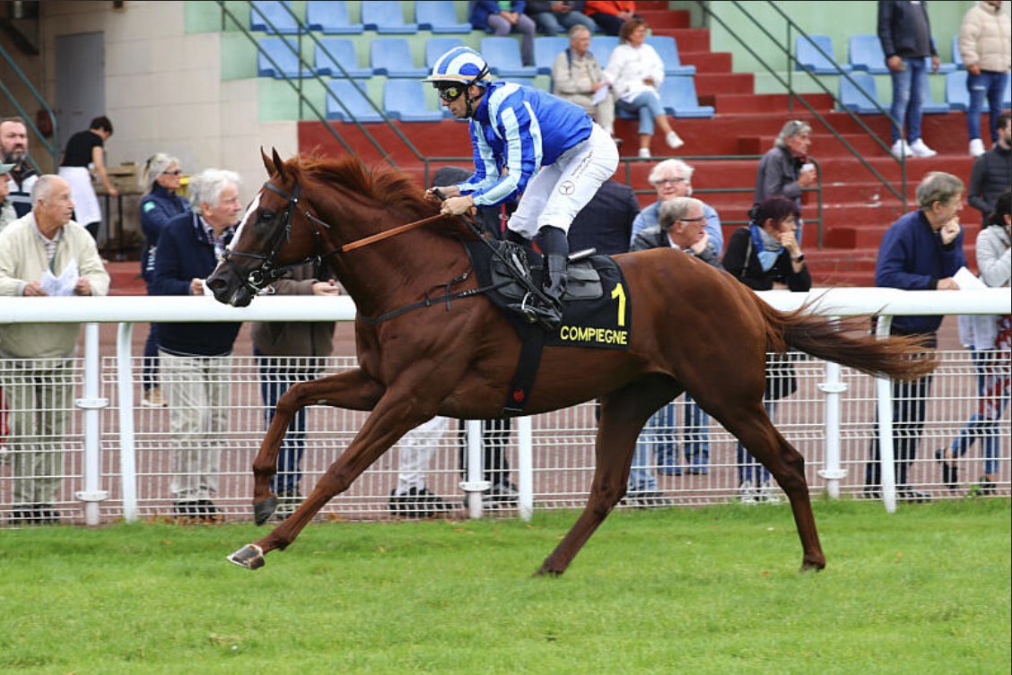 WINNER 🥇 

A special win today for Native Irish under <a href="/DemuroCristian/">Cristian Demuro</a> 🐎

Purchased by <a href="/StroudColeman/">Stroud Coleman Bloodstock</a> from <a href="/Beechlea_/">Beechlea Bloodstock</a> at the <a href="/InfoArqana/">ARQANA</a> 2024 Breeze Up sale 🤩

Congratulations to owners Daniel MacAuliffe, Anoj Don, Kevin and Graham Freeman and all other connections 🥂