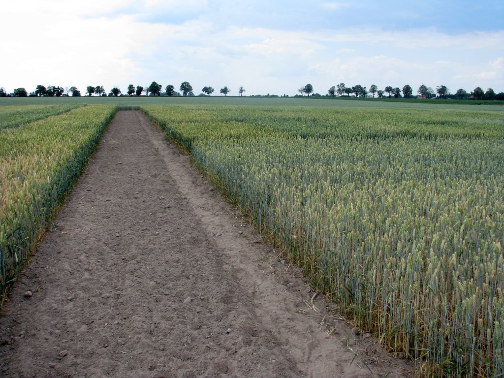 Sankcje dla rolników – będą zmiany w kwestii map pod dopłaty bezpośrednie?
🟢agropolska.pl/aktualnosci/po…