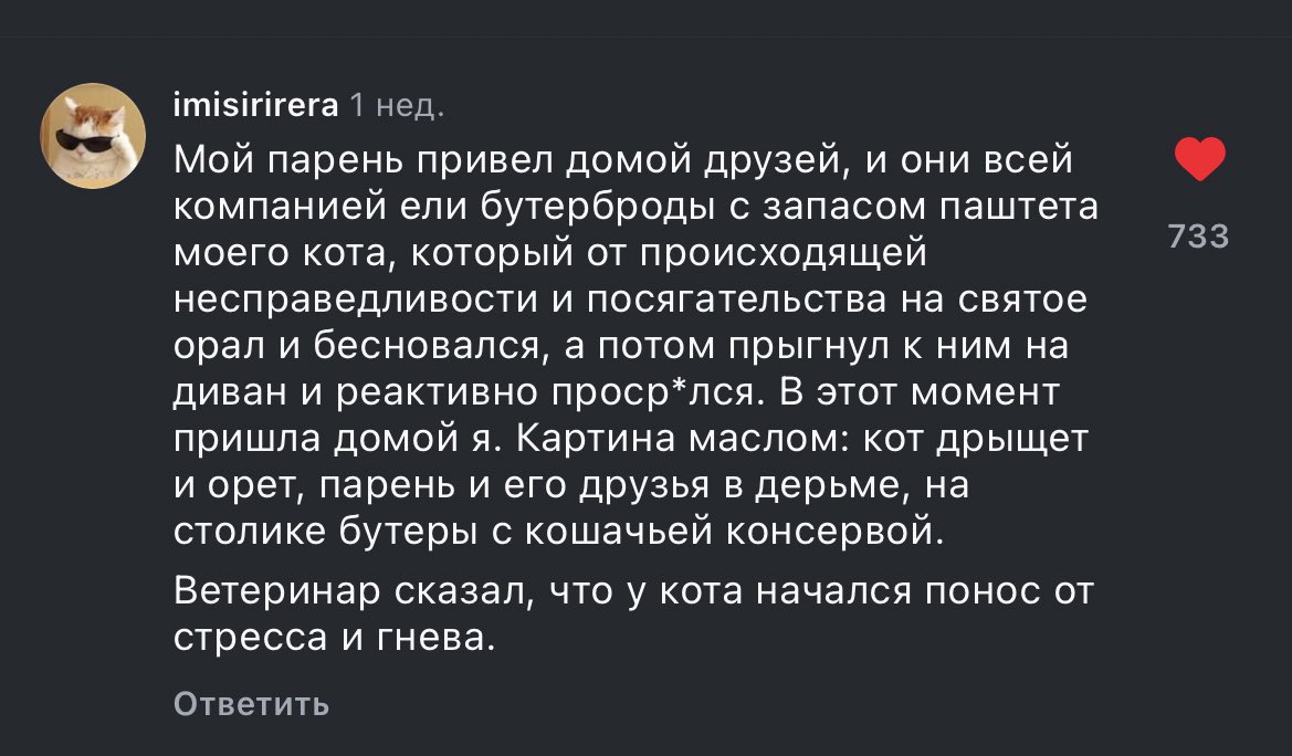 в рилсы я захожу только чтобы комментарии почитать