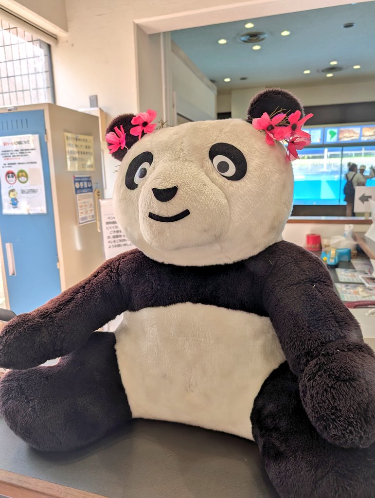 王子動物園には、まだまだパンダがたくさん🐼🎶