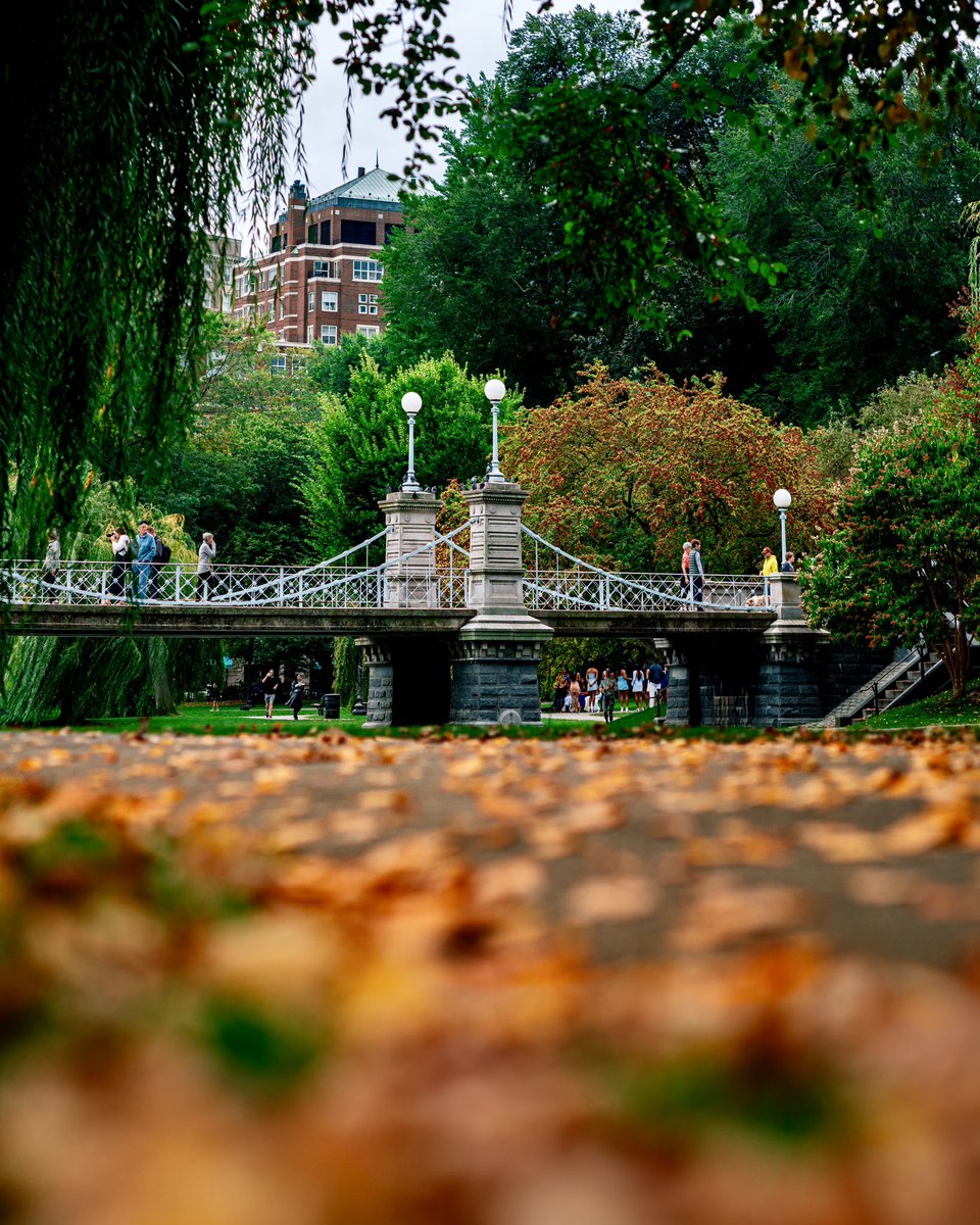 OpticalMD's tweet image. 🍂 Boston’s Public Garden is slowly trading summer greens for autumn tones.
A timeless walk across the bridge, with leaves starting to color the path beneath.

Where do you head first to catch the start of fall in Boston? 🍁
📸 Sony A7RV | @OpticalMD 
@SonyAlpha @BostonDotCom
