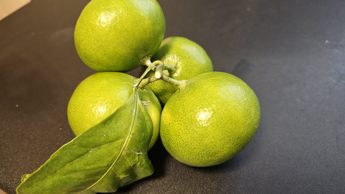 チャロナーのナカダイさんが栽培・収穫されたミカンが届きました。
緑色なんですけど、全然酸っぱくなくて甘くて美味しい品種なんだそうです。

食べてみたらほんとに美味しかった！枝付きのミカンも入ってて得した気分。
今年もたくさん頼んで頂きますぞ。