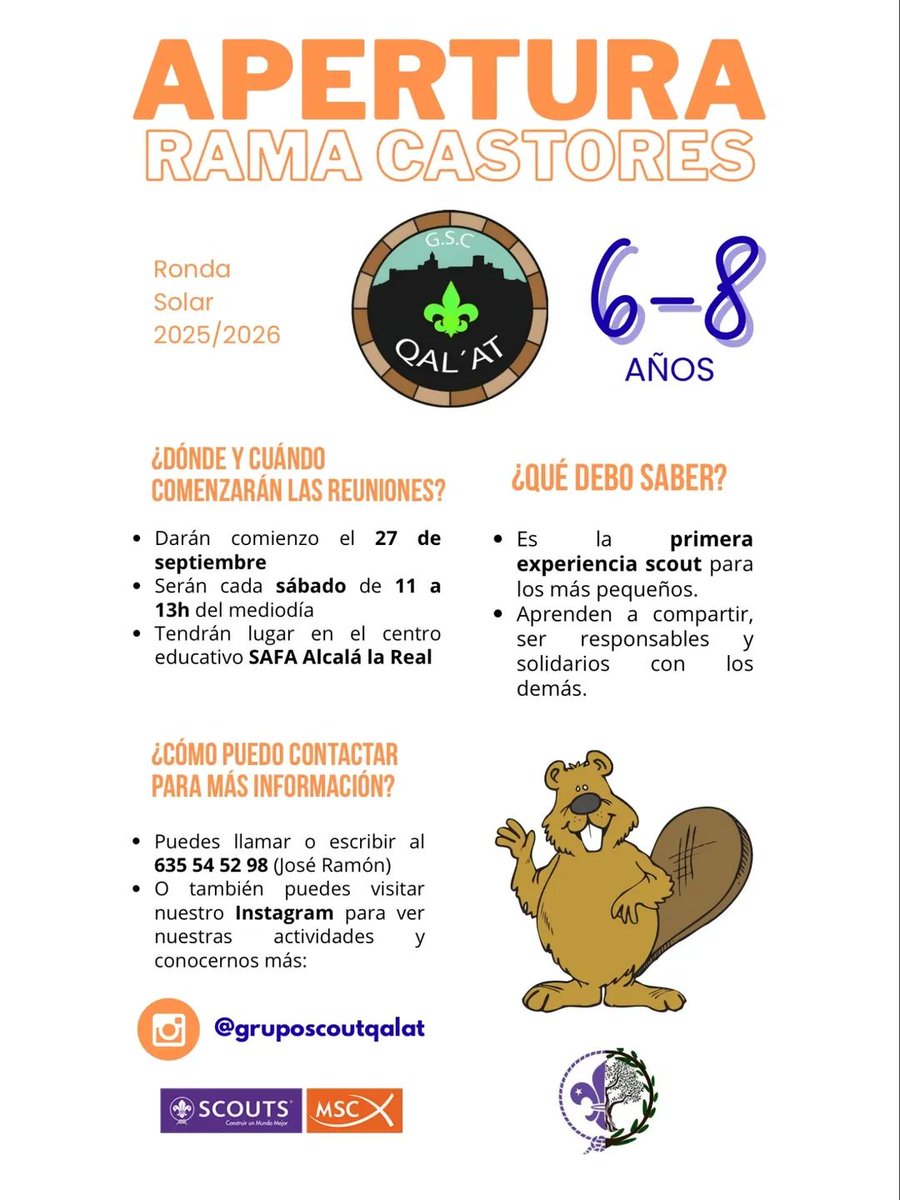 SAFAAlcala's tweet image. ¡No dejes pasar la oportunidad! Da el primer paso hacia una experiencia que te marcará para siempre ⚜️🫶🏼

#LibresParaServir ❤️ #EnTodoAmarYServir
#YoSAFAAlcaláLaReal #YoConSAFA 🤍💙
#PorqueNosConfíasLoMásImportante 👧👦 @fundacionsafa @educsi 😍