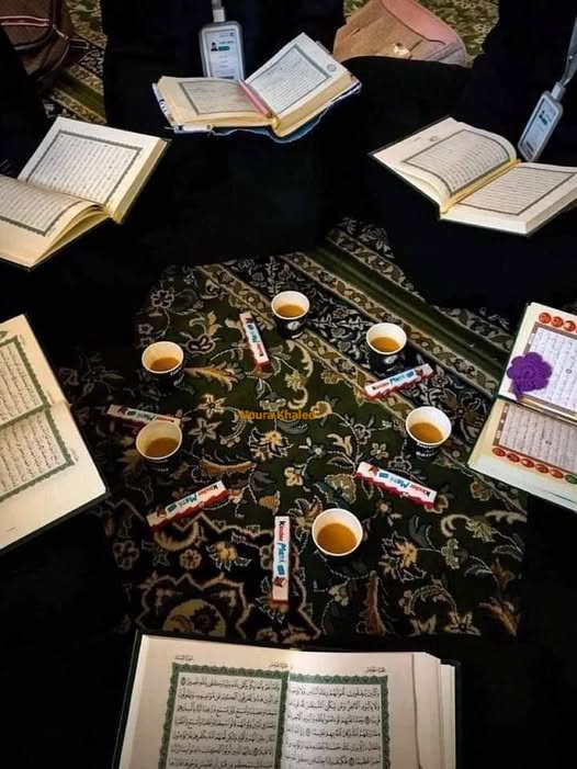 وَالمَرءُ يُصلِحُهُ الجَليسُ الصالِحُ
فكيف بجليس القران.❤️
#الخلاصة