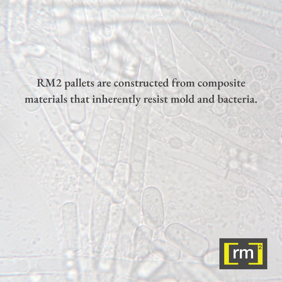 RM2Pallets's tweet photo. RM2 pallets are engineered with advanced composite materials that naturally resist mold, bacteria, and other microbial growth. They have a non-porous surface that minimizes the risk of contamination. Learn more at https://t.co/6CeJA4SbP8
#compositepallet #RTP #reusables https://t.co/v1xGcBVaeQ