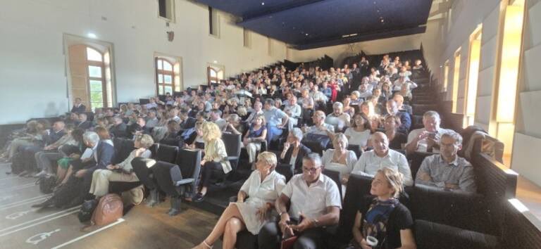 DSDEN 30 tweet media