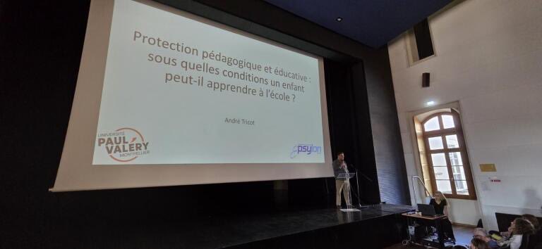 DSDEN 30 tweet media