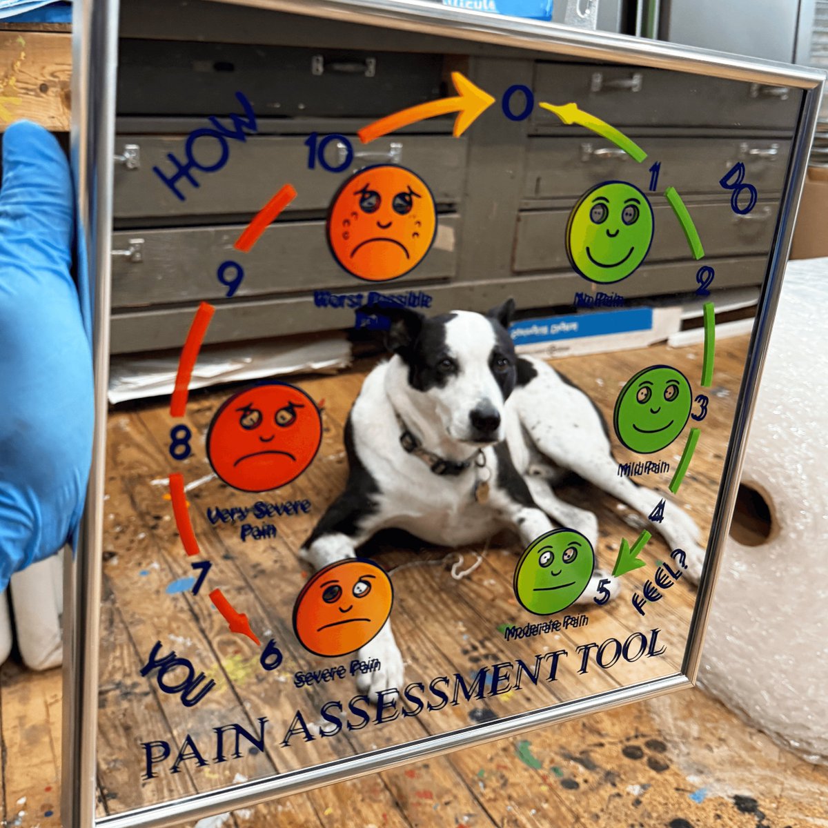 genius gf made another sacred object