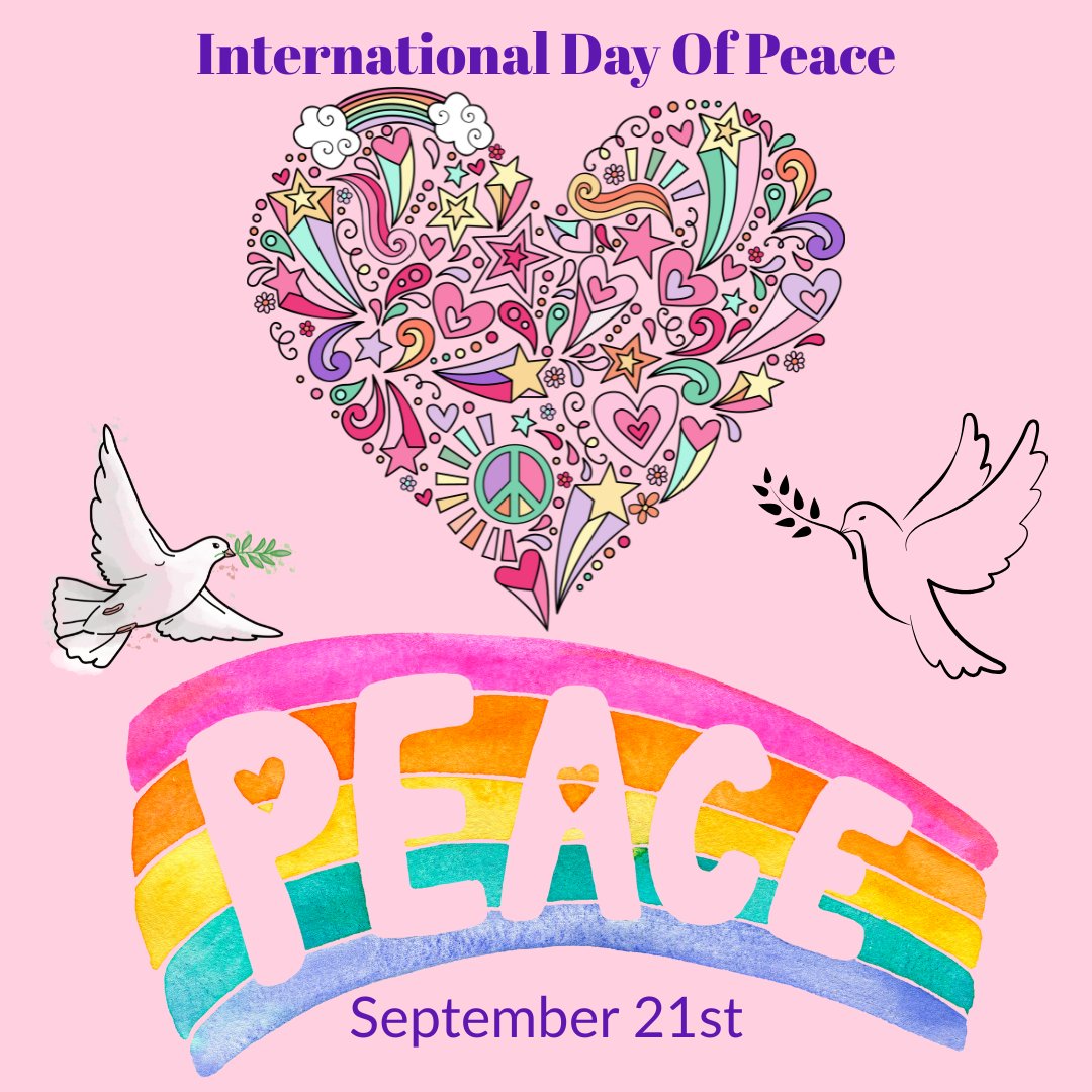 Jamie Vida tweet media