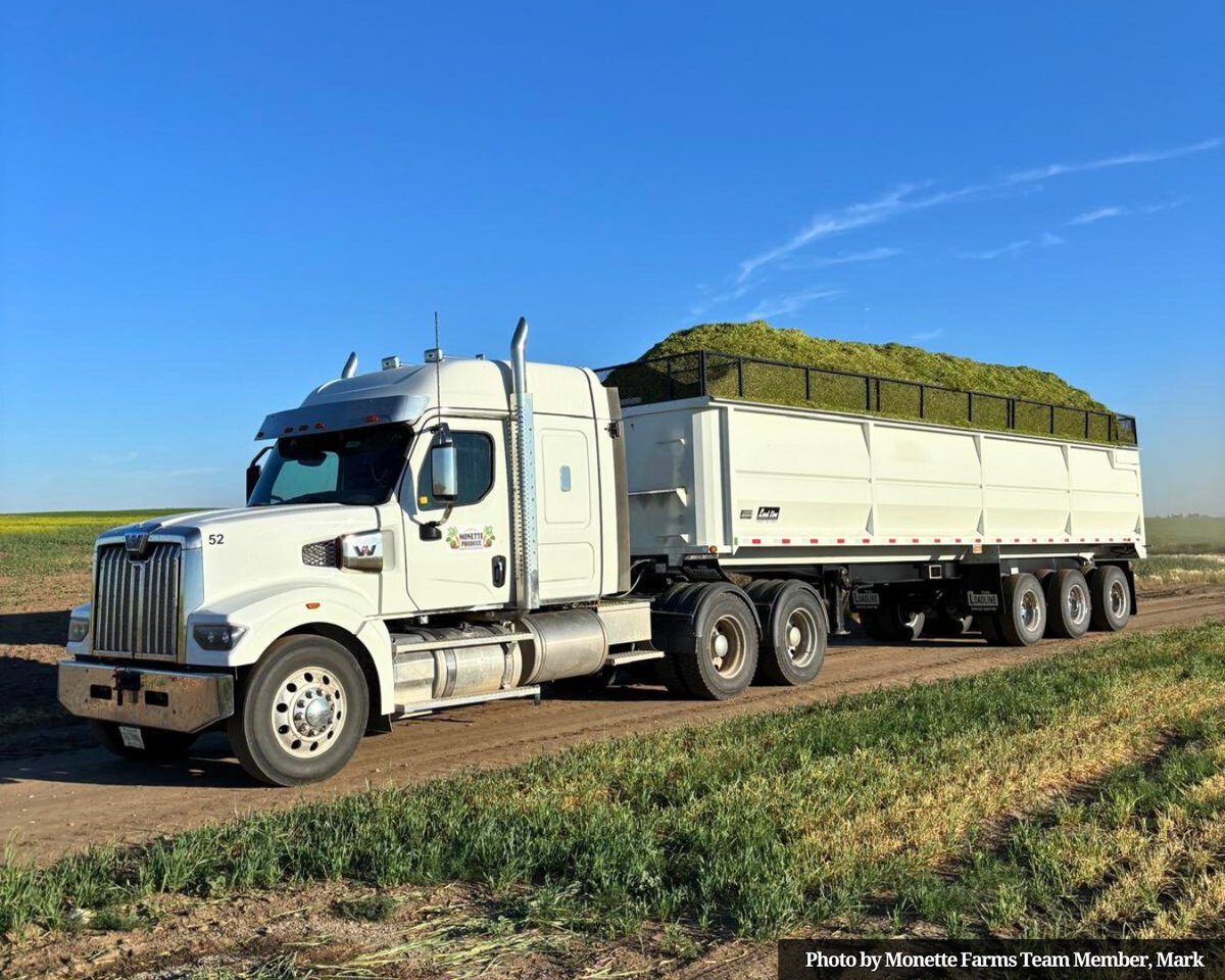 Winter prep continues while the girls enjoy the last days of the season in their summer pastures! 🐮 

If you have experience working with cattle or a Class 1A license and would like to join the Monette Cattle team, we always have opportunities for hardworking individuals!
