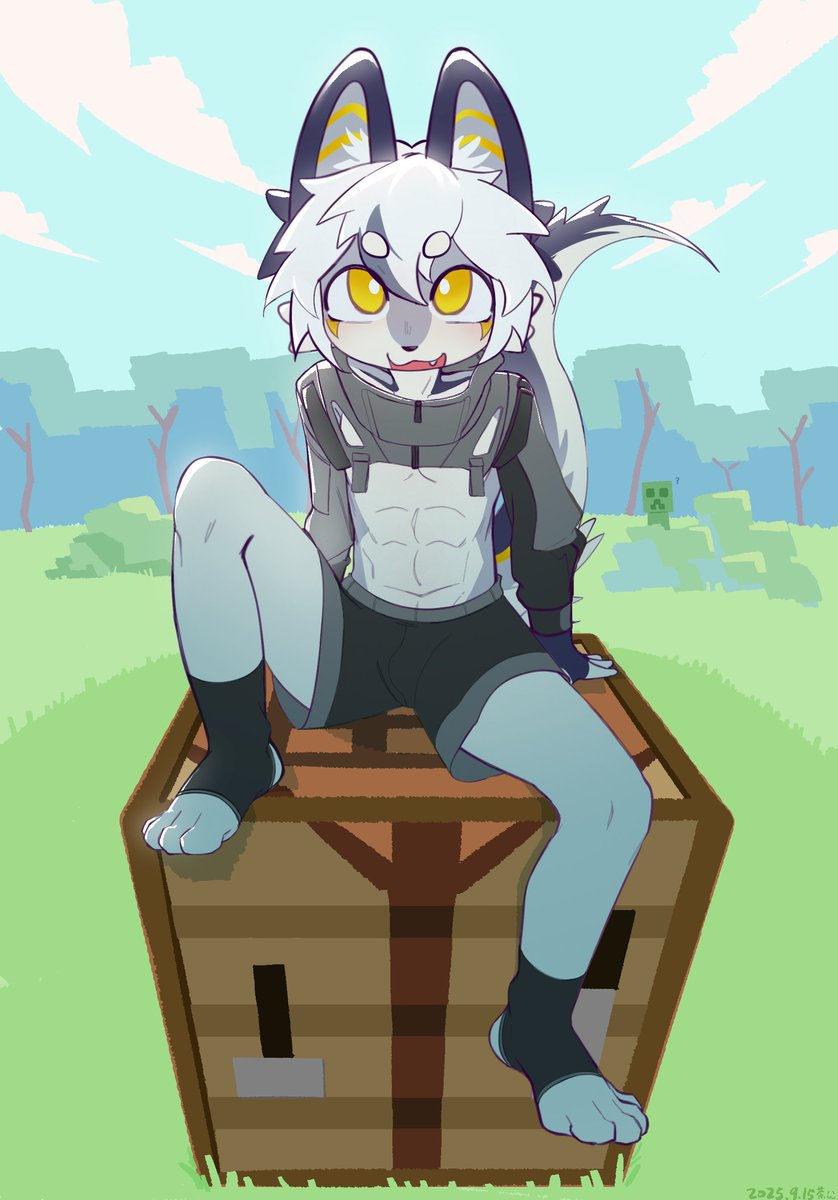 茶狸子 tweet media