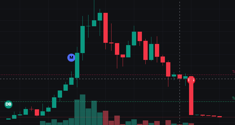 king kong tweet media