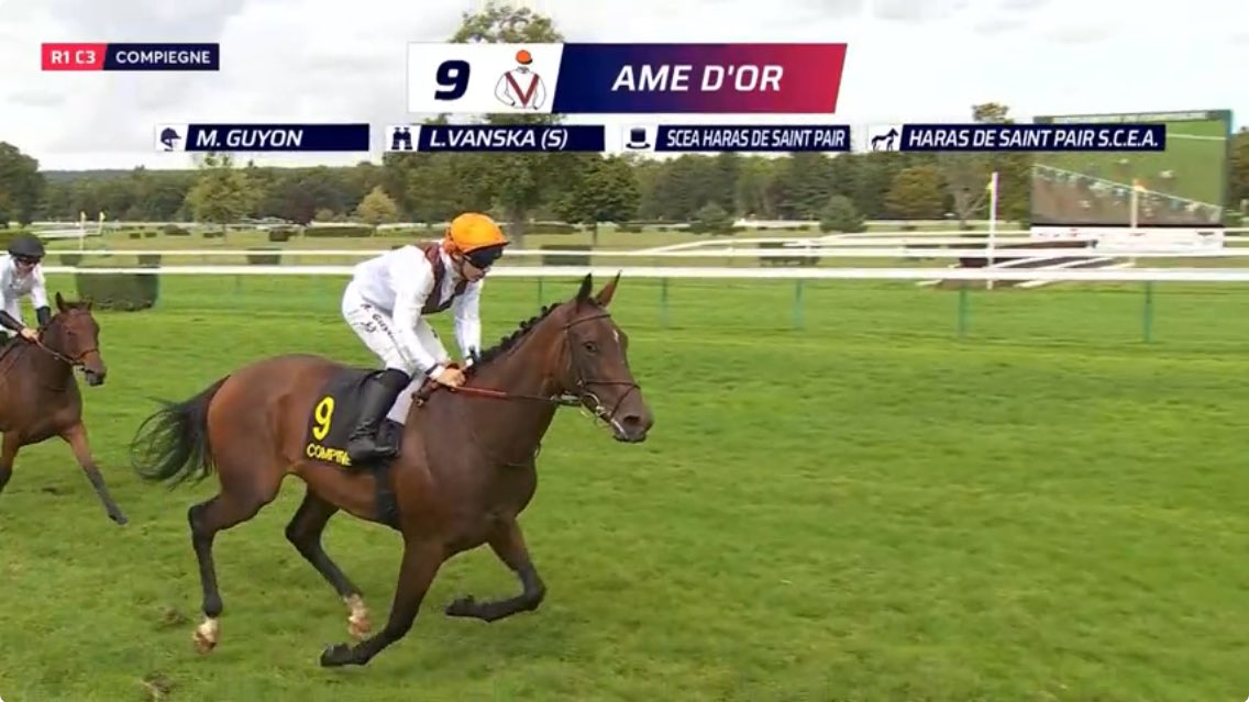 saint_pair's tweet image. SaintPair 🟠⚪️
homebred ÂME D’OR won easily and breaks her maiden in a good style this afternoon at Compiegne. 

The filly of Zelzal trained by @LauraEVanska 

Congrats to all connections !!