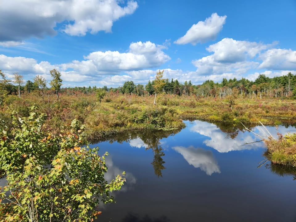 What a beautiful day to be outside! Come hike with us!