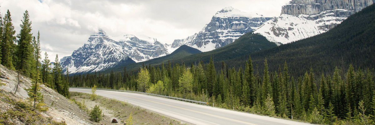 digital66dx's tweet image. Best regards to you 🍀 #Tuesday