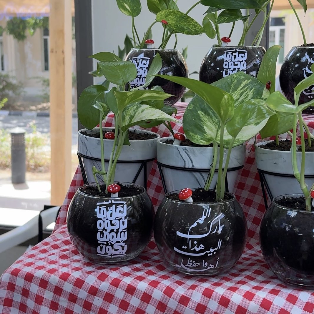 عشوائيات صنع بيدي المصغر🤍.