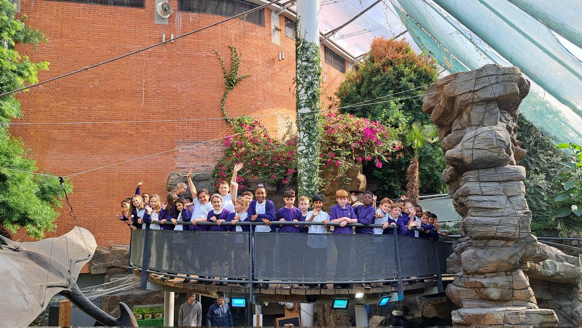 Pontprennau Primary tweet media