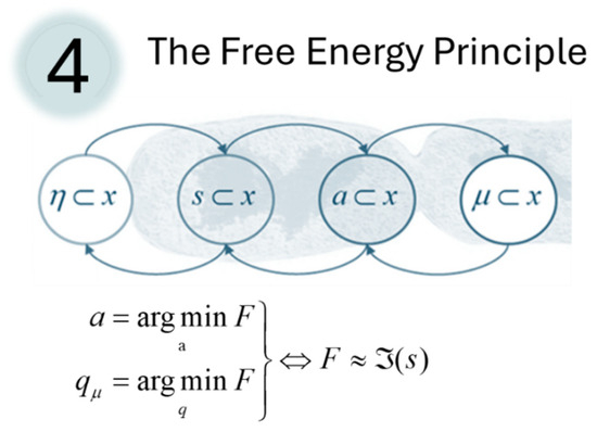 InferenceActive's tweet image. The Free Energy Principle (FEP) formalizes self-organization across scales using Markov blankets. It posits that systems minimize variational free energy through perception (updating beliefs) or action (changing the world), unifying biology and behavior  #FEP #SelfOrganization
