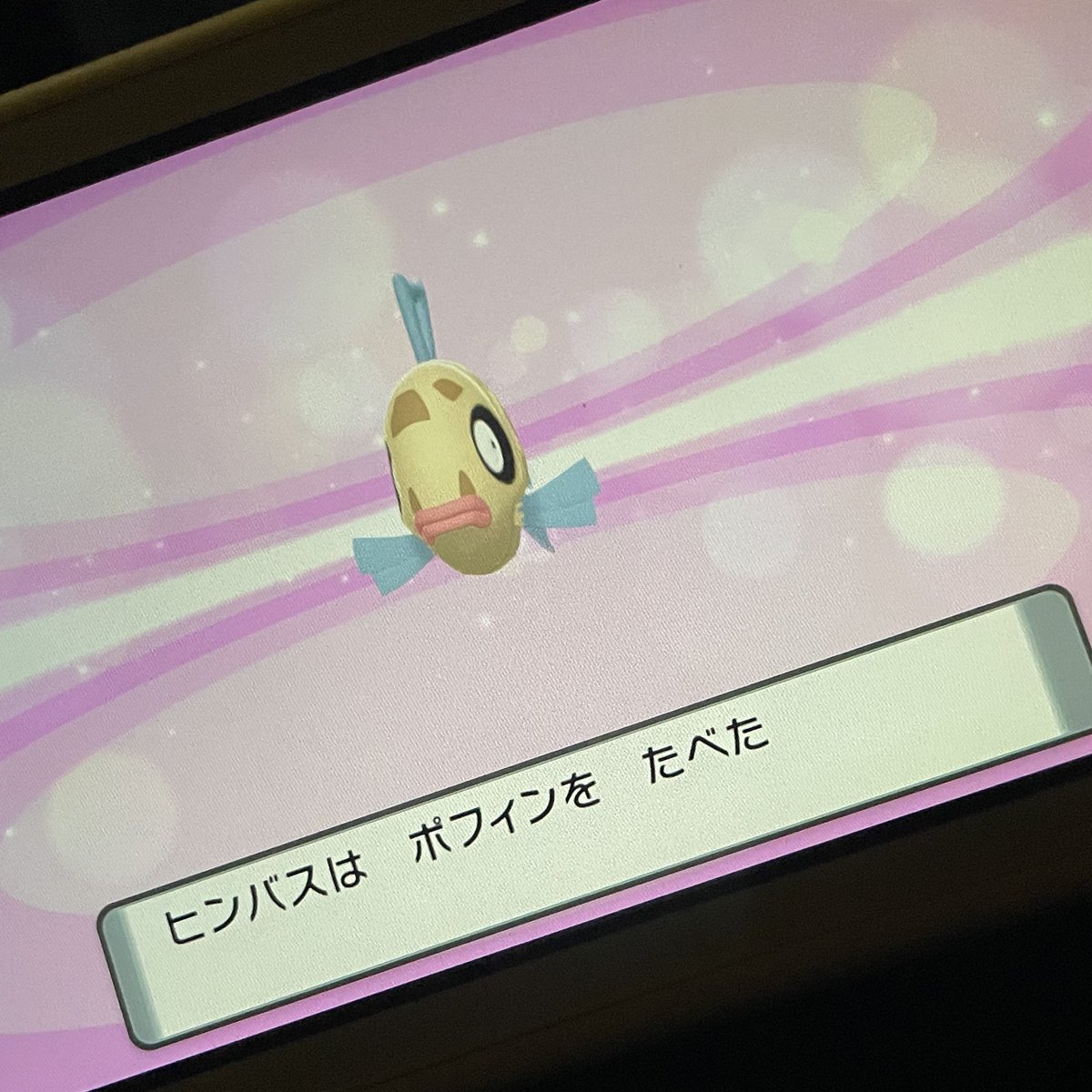 ポケモンやってる友達が居らず通信交換で進化できなかった者なので、面構えが違う