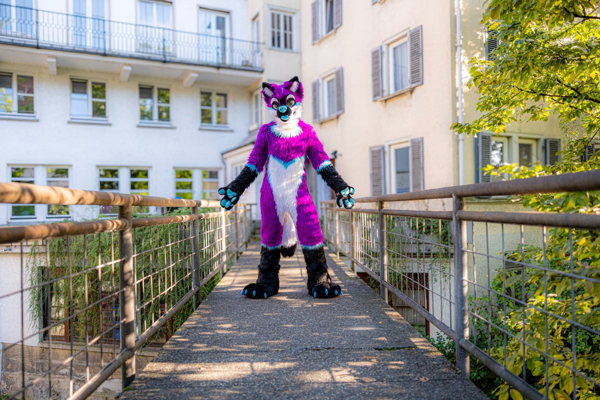 Entering purple dog territory!

📸 <a href="/Nico_deer/">Nico 🔜 GLC</a>