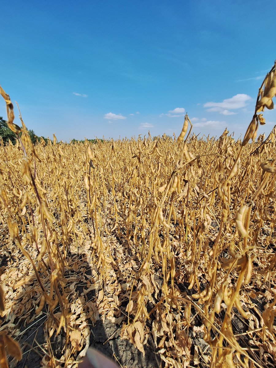 Robyn Gerrard tweet media