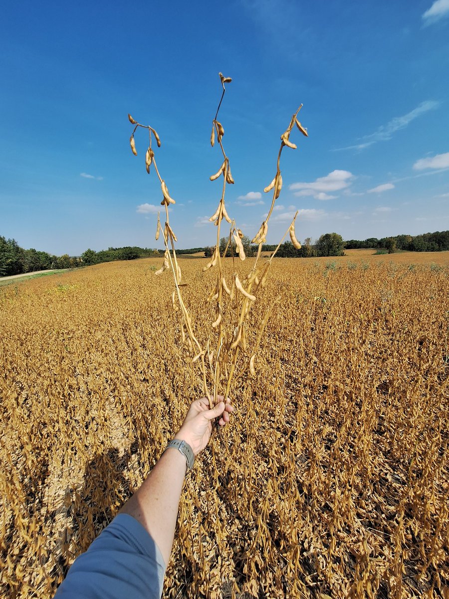 Robyn Gerrard tweet media