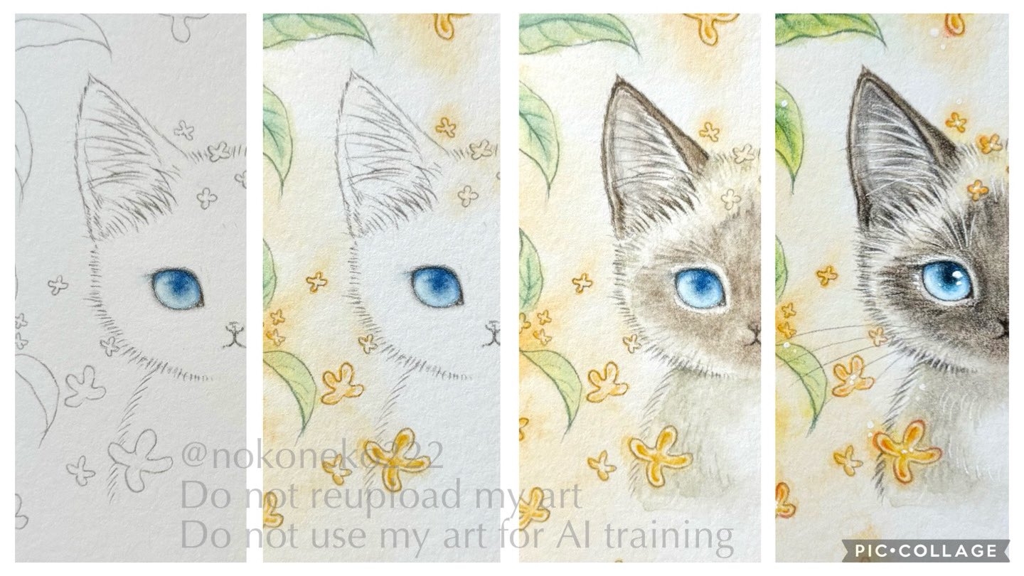 ❤猫好き(❁ᴗ͈ˬᴗ͈)　絵画　270×220 ❤猫好き(❁ᴗ͈ˬᴗ͈) 絵画 270×220