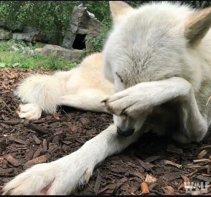 internet has gone out 15 times in the last 4 hours