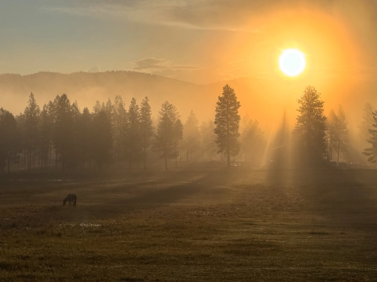 Misty mornings in Montana
