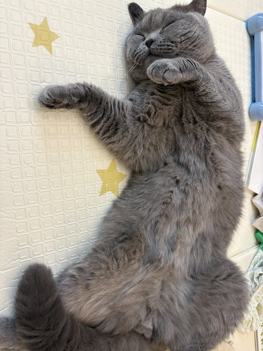 おやすみなさい