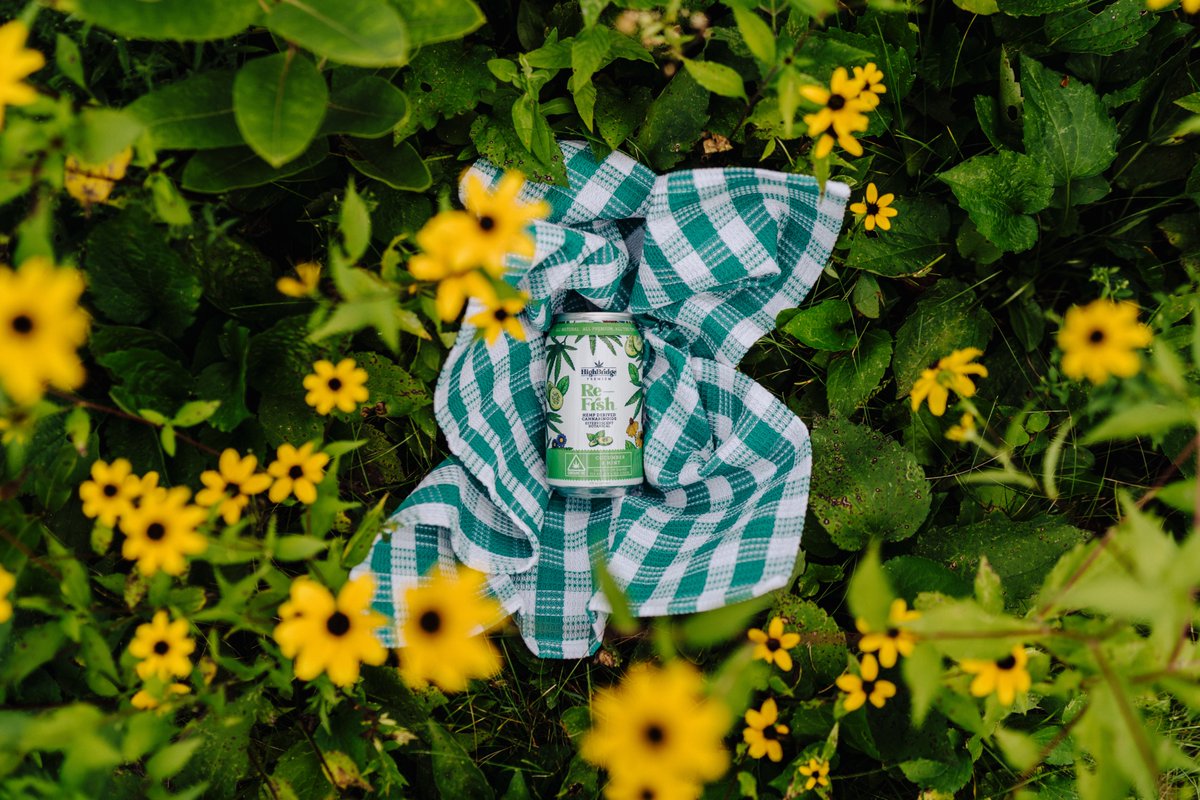 Lost in the #garden, found in a #can. Re-Frsh isn’t just a #drink - it’s your botanical BFF. #Crisp, #calming, and ready for whatever the day #blooms into. 🌼✨