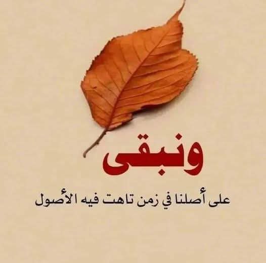 ابن الاصول لا يتقلب مثل الفصول
ولا ينتقل كالنحله من زهره الى زهره بين الحقول 
ابن الاصول يعيش بمبدء صحيح
وموقف صريح 
ولا يميل اينما هبت الريح 
ابن الاصول لا يخون عهدا 
ولا يخالف وعدا 
ولا يتغير ولو عاش لوحده فردا 
ابن الاصول عمله نادره وقيمته ذهب 
يعمل بالاصل ويتحلى بالادب 
ولا