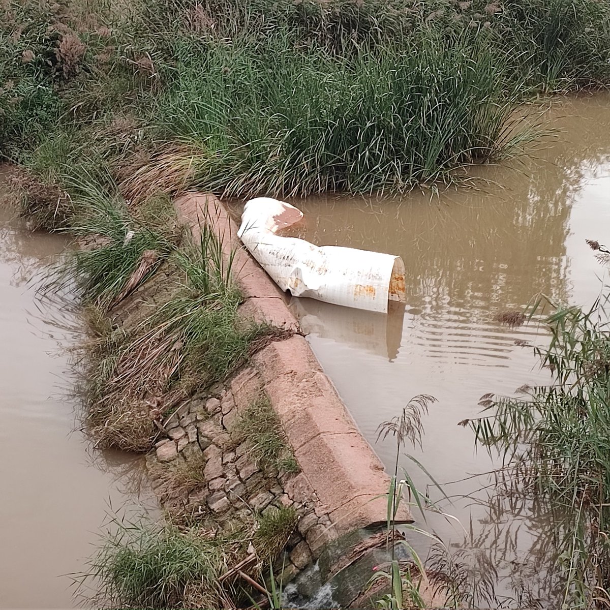 Semblà, que les darreres pluges en comportat, que "algú" així perdut, pel que sembla, una part d'un sostre. El trobarà a la resclosa del riu #Anoia a #Igualada.