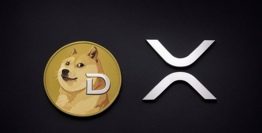 Conor Kenny tweet media