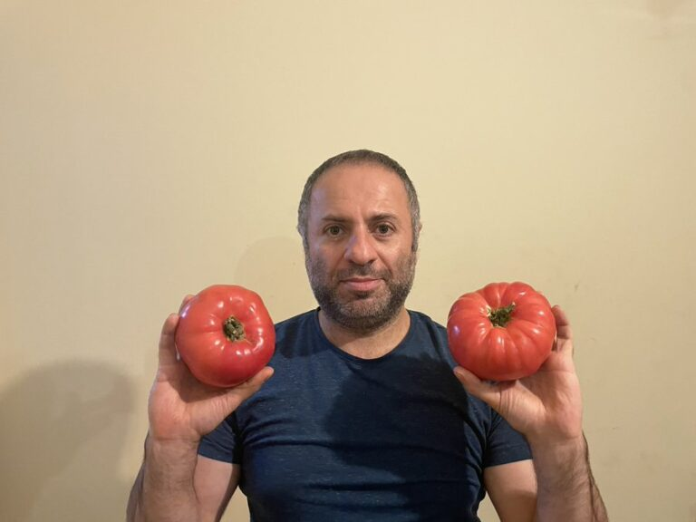 Libertiyanoğlu tweet media