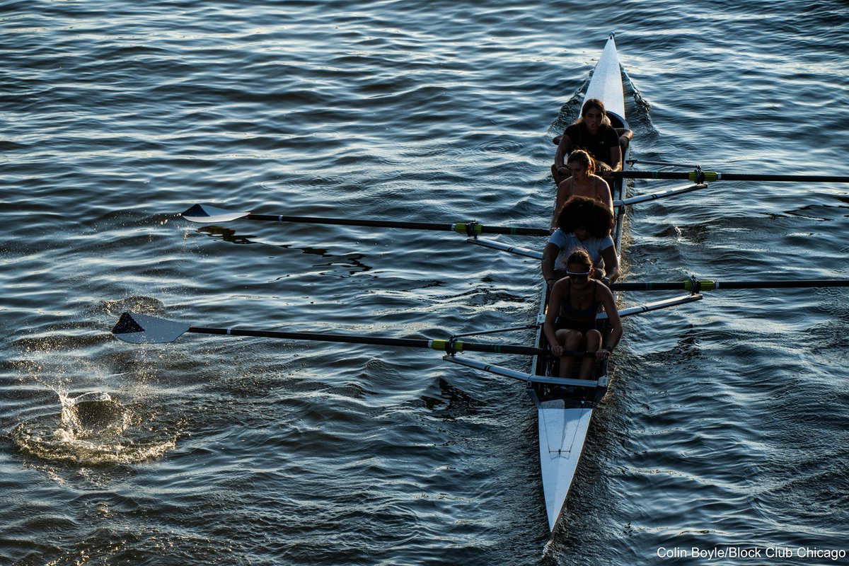 Colin Boyle tweet media