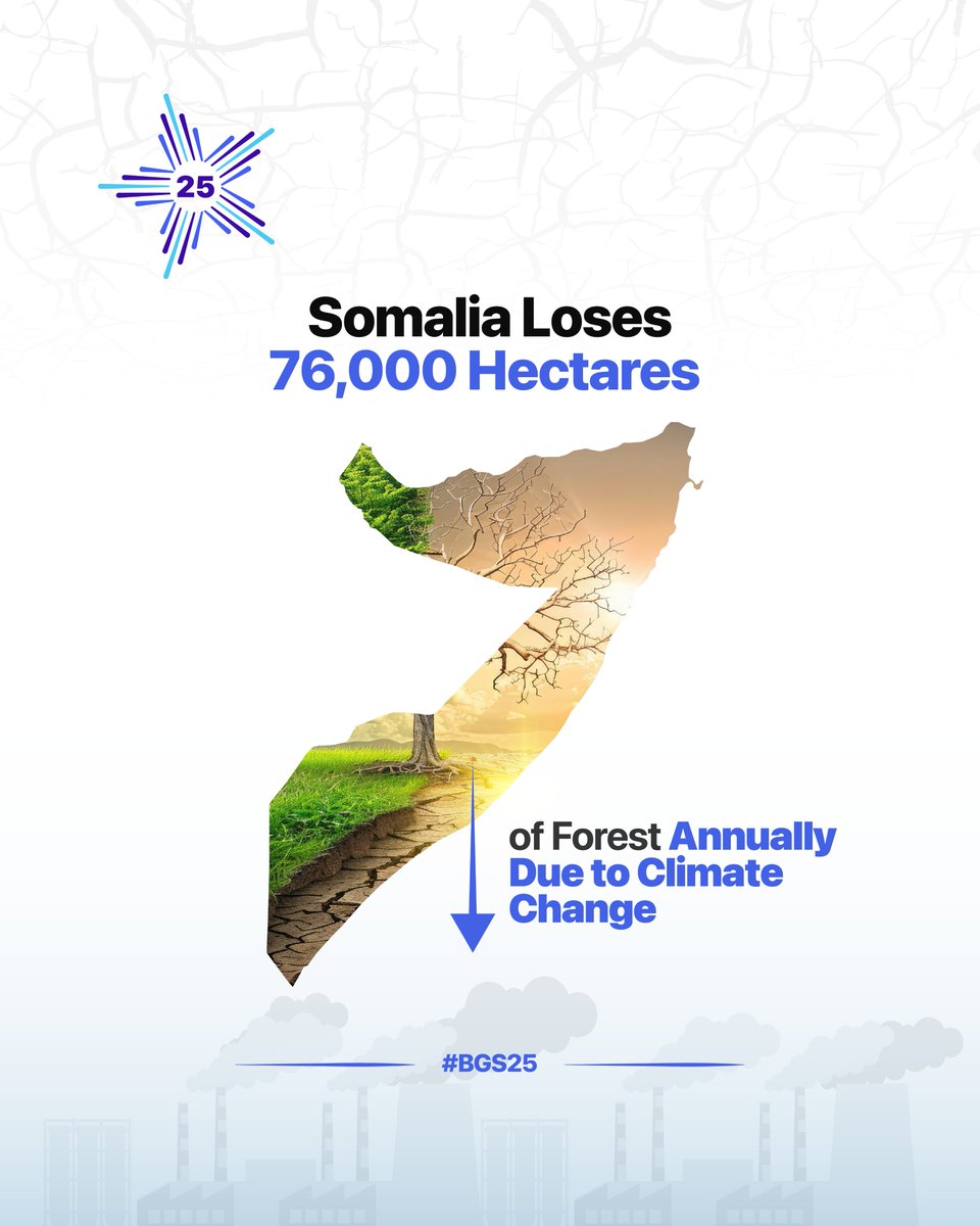Between 2015 and 2020, Somalia lost an average of 76.8 thousand hectares of forest each year, according to the FAO. 
This ongoing deforestation is taking a serious toll on the environment, climate, and the lives of people and animals.
The Somalia’s Success Stories Summit in
