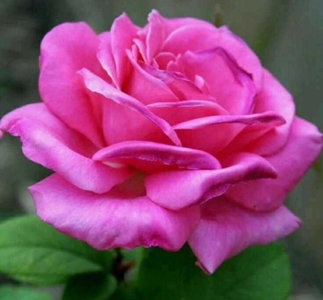 Male (@malede7) on Twitter photo Hola amigos y seguidores 
Feliz Martes 16 de Septiembre.. que este tiempo sea de Luz y Bendiciones para todos.. Hola amigos y seguidores 
Feliz Martes 16 de Septiembre.. que este tiempo sea de Luz y Bendiciones para todos..