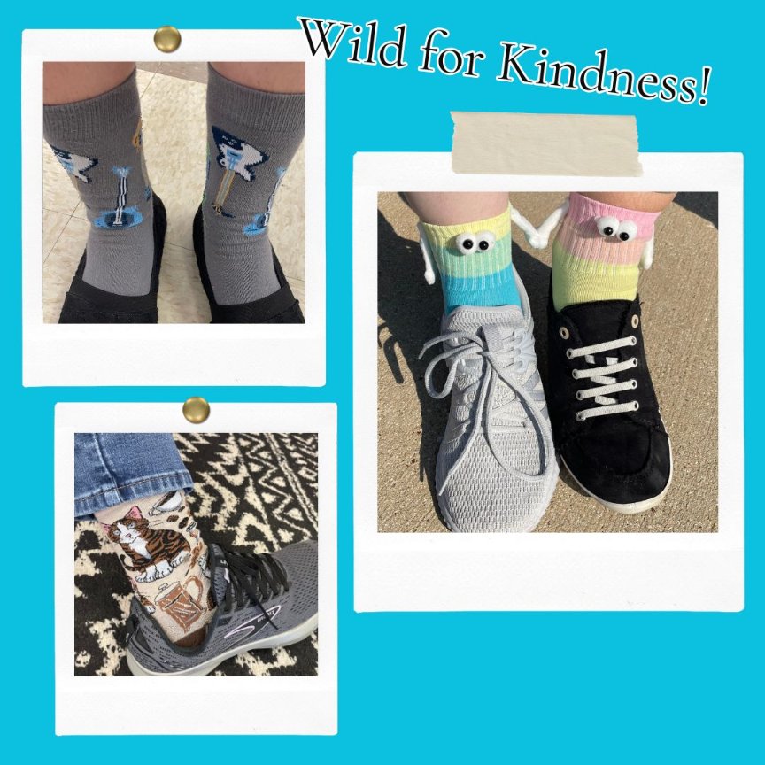 MHS9th's tweet image. Yesterday, our students and staff showed they are wild for kindness by wearing their wild socks! #LISDbeKind #OneLISD #BetheOne #AllRoadsLeadToExcellence