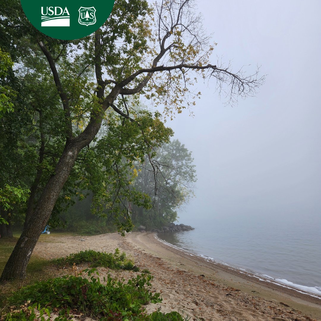 Leaves on the Chippewa National Forest are starting to change colors!
Grab your camera and hit the trails! Download a FREE Forest Service digital map to find a trail near
you.  fs.usda.gov/visit/maps

USDA Forest Service photo by: Christine Bronk
#fallcolors
#ChippewaNF