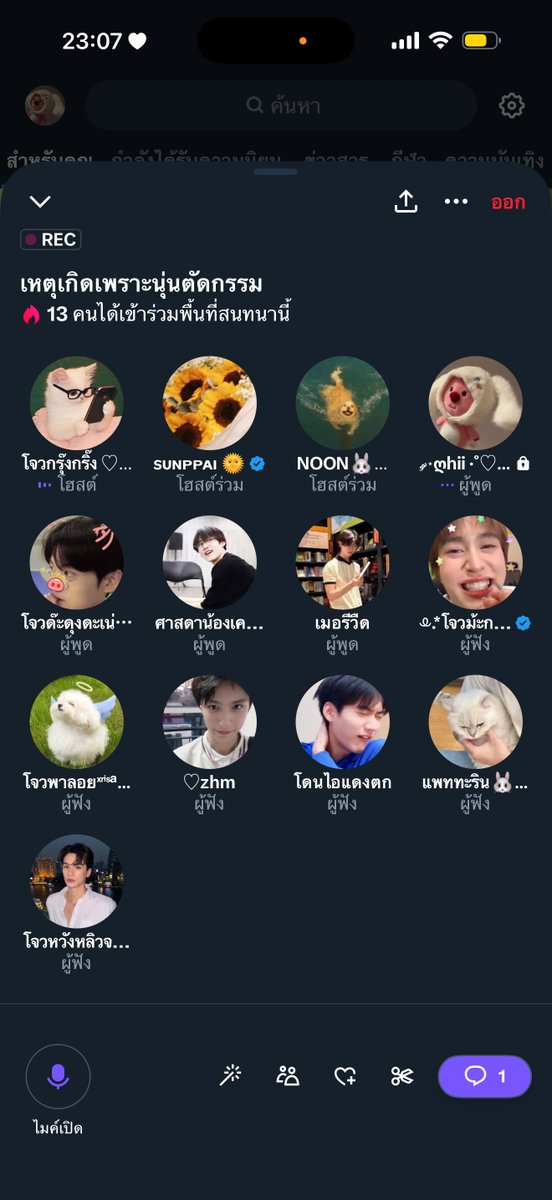 ‎ ༘⋆ღhii ·˚♡st🐶🐈 tweet media