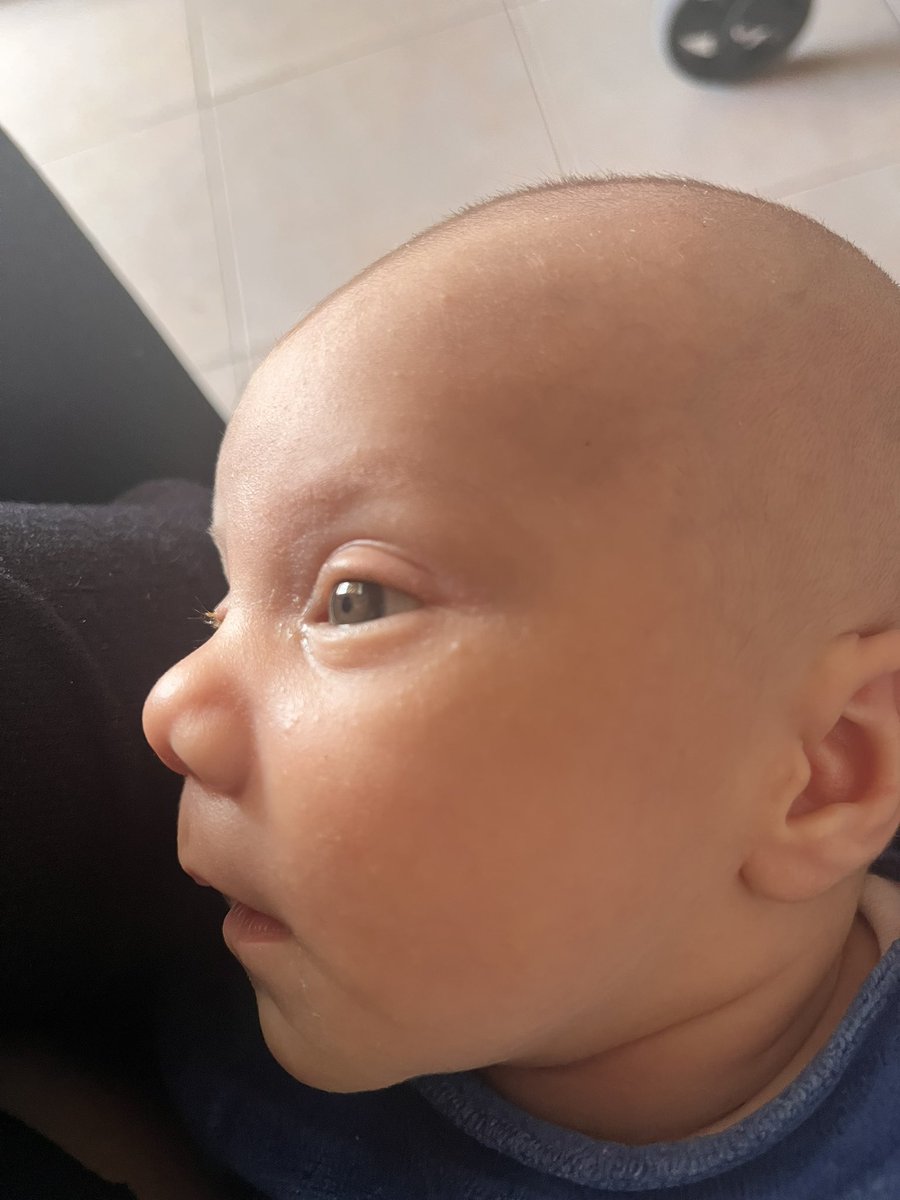 La abuela se salió con la suya ,sacó los ojos de ella 😍🩵