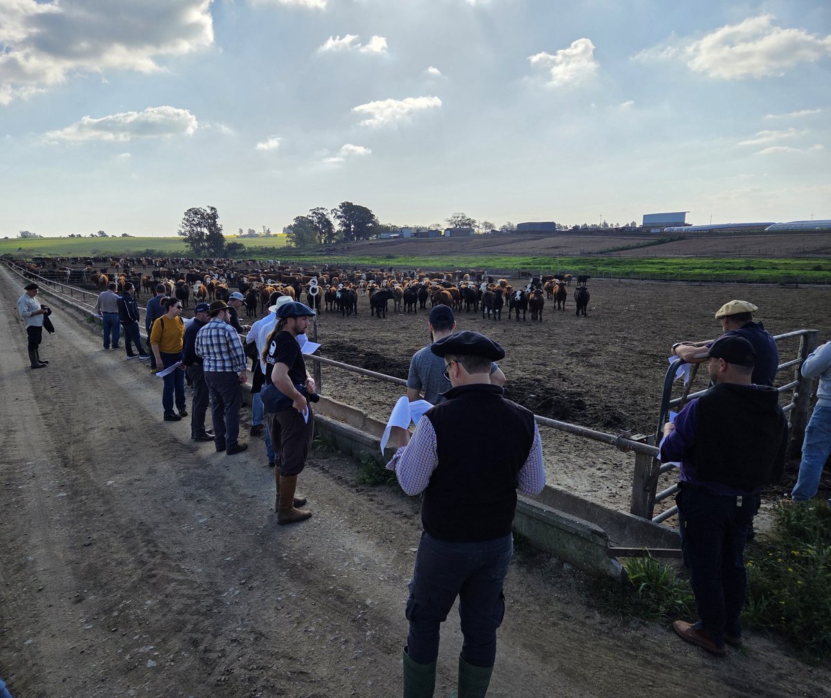 Sebastián Frade tweet media