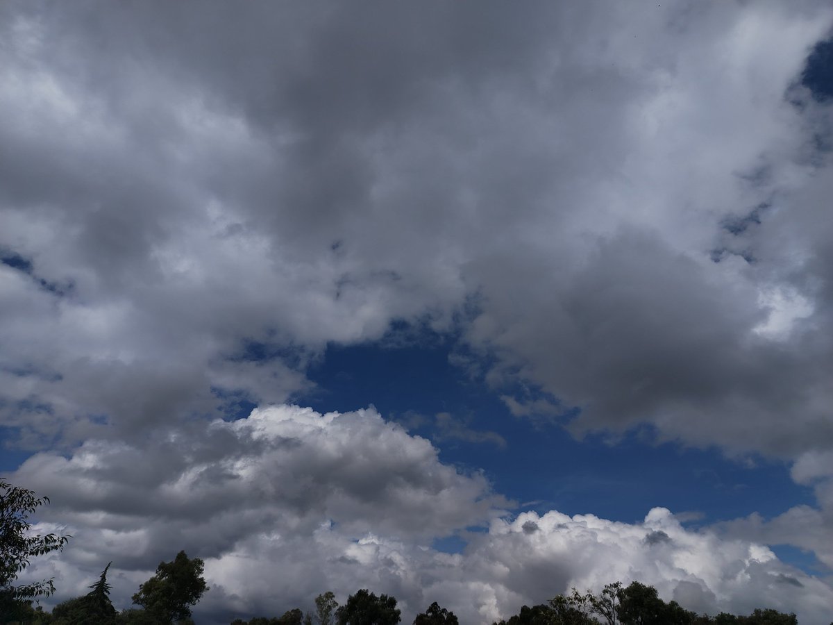 DanielArt33's tweet photo. 10:00hrs tengo presencia de cumulus Cu congestus, 5 octas Tepotzotlán Estado de México https://t.co/9amlhDN3X6