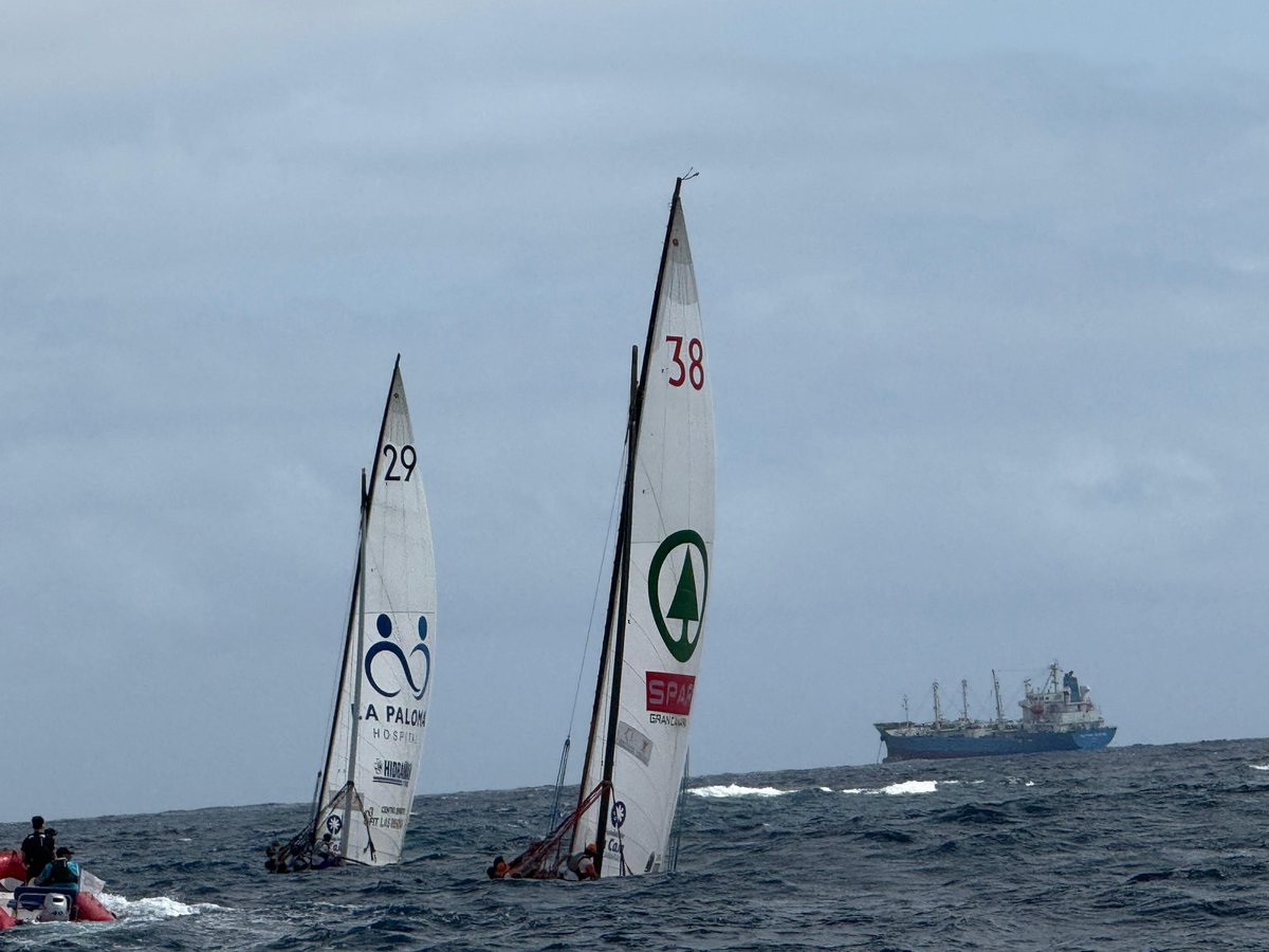 ⛵️La Federación de Vela Latina Canaria de Botes fija el calendario para los desempates del Campeonato Aguas de Teror y el Trofeo Federación

🗓️Se acuerda con los botes posponer el final de la competición al menos una semana más

🔗federacionvelalatinadebotes.com/la-federacion-…
